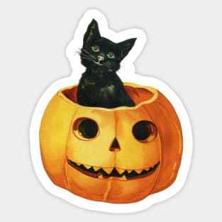 Vintage Black Cat In Pumpkin Sticker